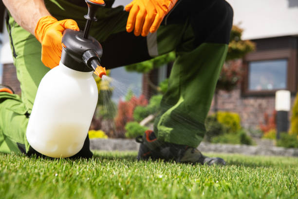 Best Termite Control Services  in Pocono Ranch Lands, PA